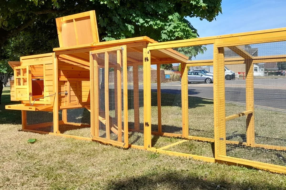 Completed outdoor chicken coop and enclosure